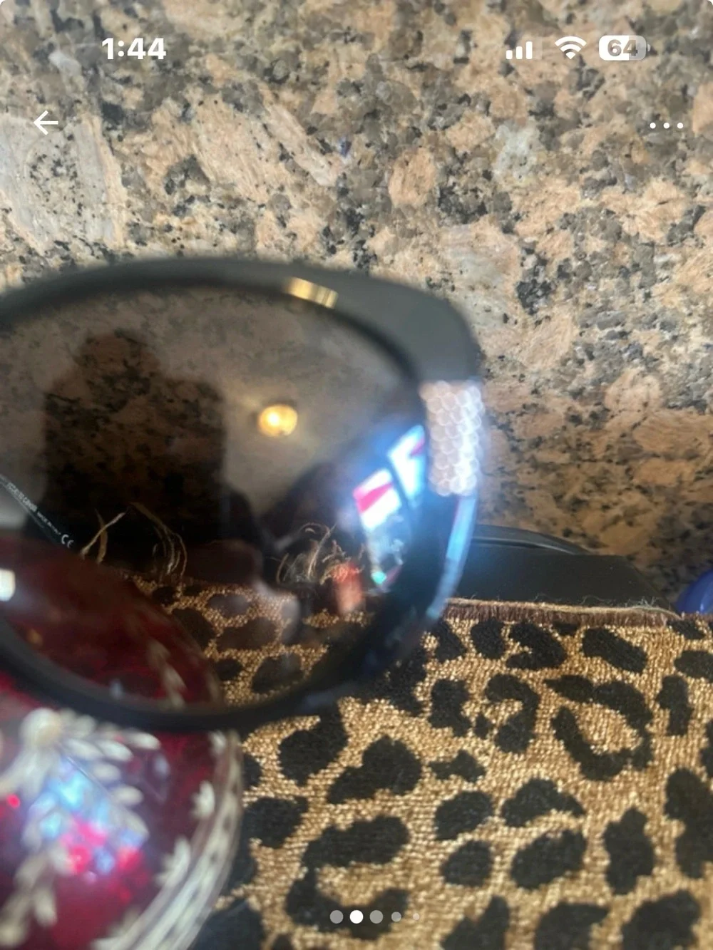 Roberto Cavalli Black Womens Oversized Sunglasses
